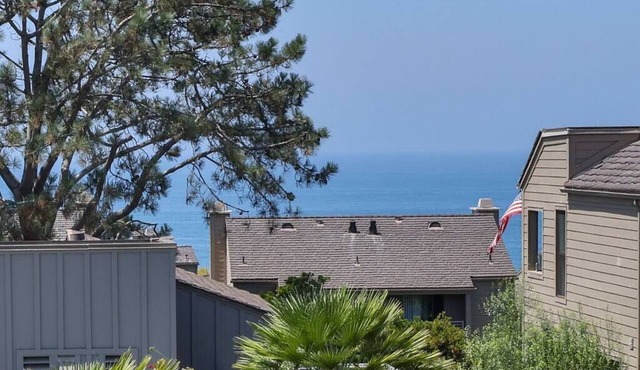 Ocean views in Del Mar