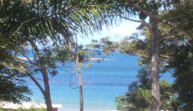 Ocean Views, Spotted Gums and Burrawangs
