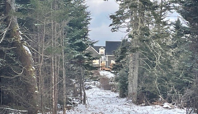 Oceanfront B&B on the Lighthouse Route. nFamily/Pet friendly, Warm Hospitality!