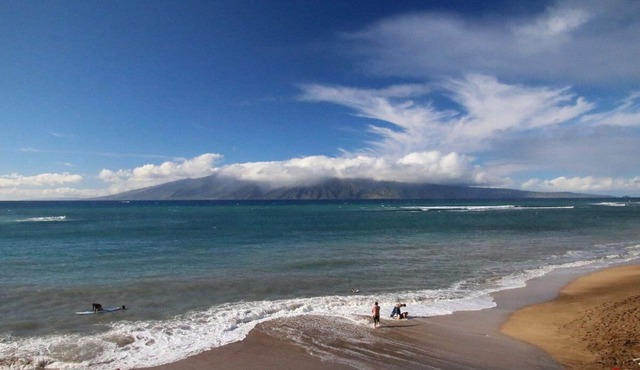 Oceanfront/Beachfront 1200 sq ft 1 bed-2 bath condo