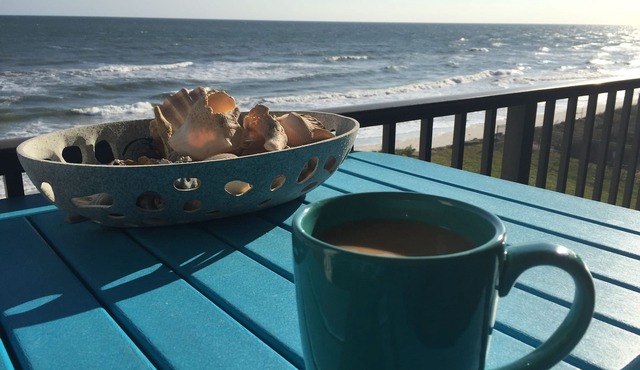 Oceanfront-Best Views Of The Beach-New Smyrna Beach-3/2