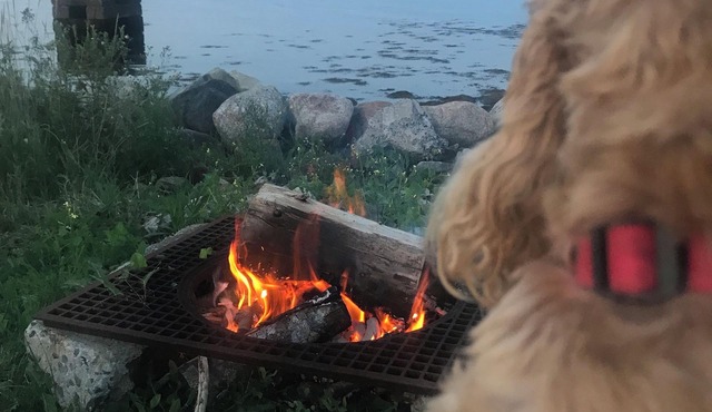 Oceanfront cozy comfortable cottage!