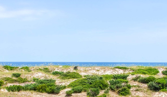 Oceanfront Dog Friendly Home with Private Pool, Hot Tub, Game Room, Basketball