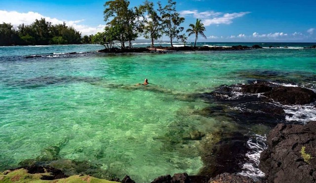 Oceanfront, Friendly Sea Turtles, Epic Snorkeling!