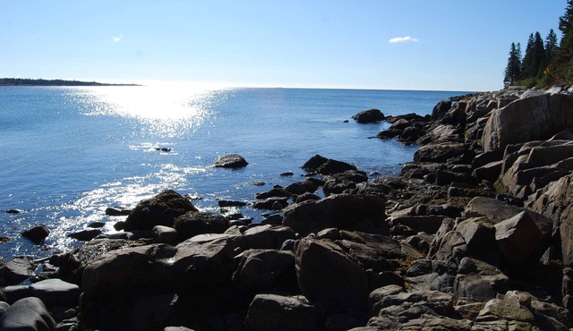 Oceanfront Home w/crashing surf in Schoodic/Acadia