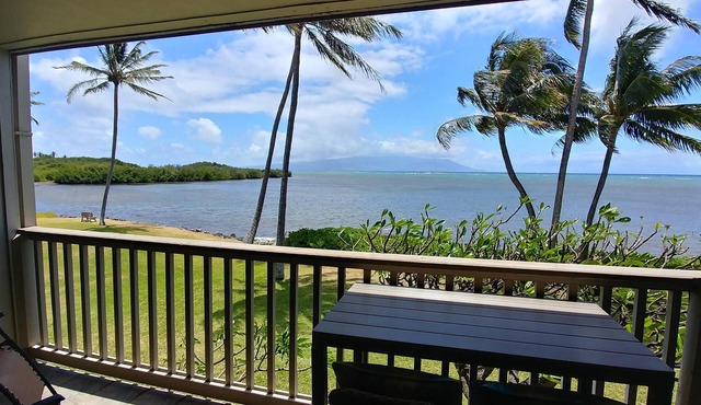 Oceanfront, king bed, queen murphy bed, beach/pickleball supplies & car option