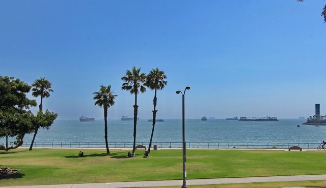 Oceanfront Luxury Oasis W/Jacuzzi, Gazebo, BBQ, Pizza Oven Gym, Gated Garden