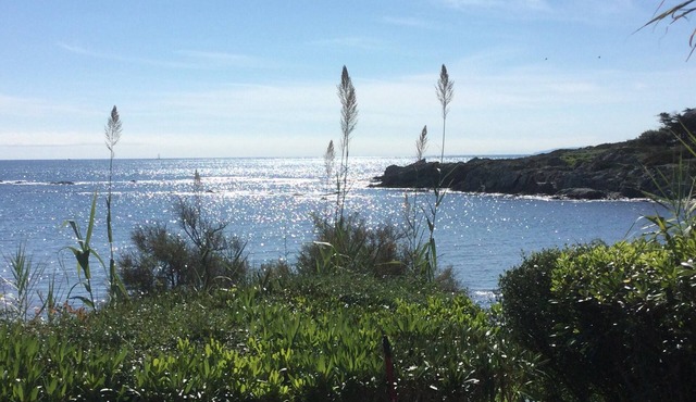 oceanfront paradise