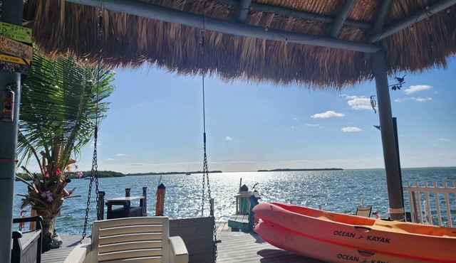 Oceanfront Paradise w/Amazing View! Kayaks & BBQ