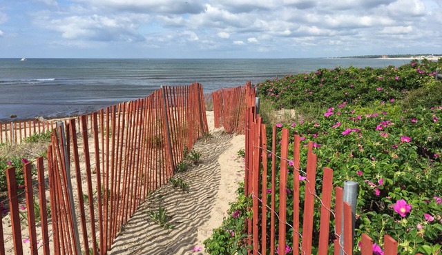 OCEANFRONT! Priv beach, VIEWS A/C WIFI,Streaming TV, Walkable, Relax, Memories!