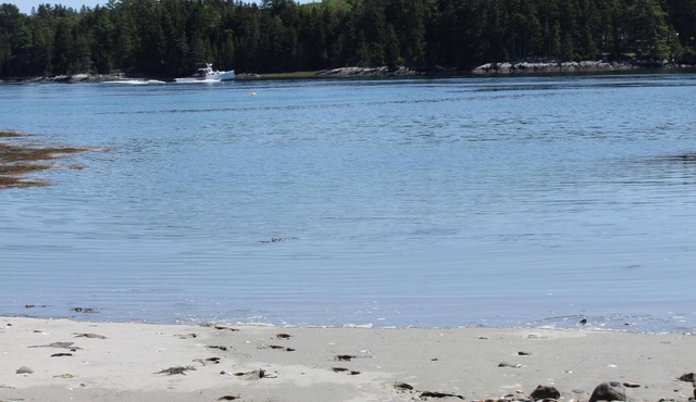 Oceanfront Private Beach! Family friendly, Multi-Generational House by Acadia!