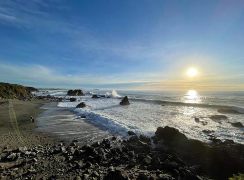 Oceanfront Retreat Bodega Beach