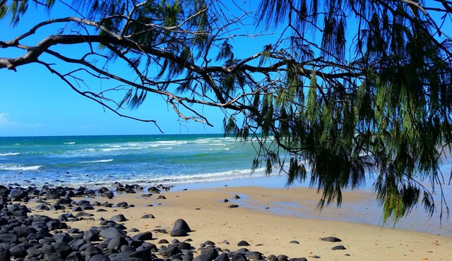 Oceanfront Retreat The Cove Studio - Pet friendly