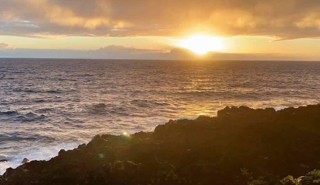 Oceanfront studio see whales and dolphins