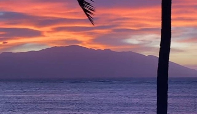 Oceanfront Top Floor Molokai Condo! Lush East End Location!