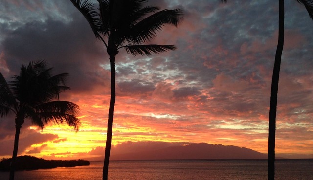 Oceanfront-Tropically Furnished Condo-Comfy