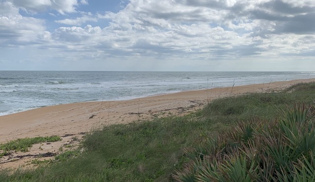 Oceanfront Vacation house in Ormond Beach