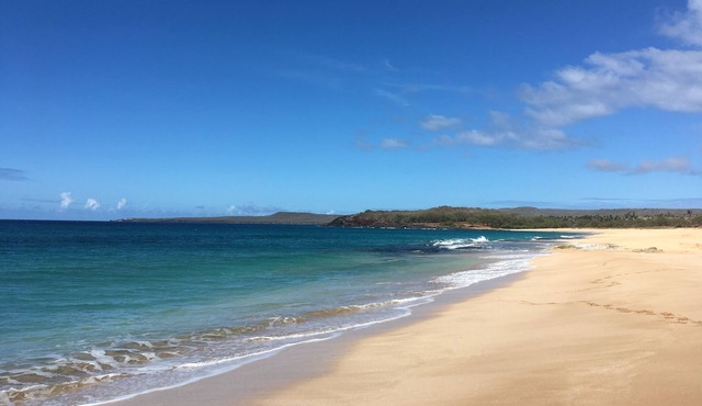 Oceanfront! Wavecrest Building "A" on the Island of Moloka'i.