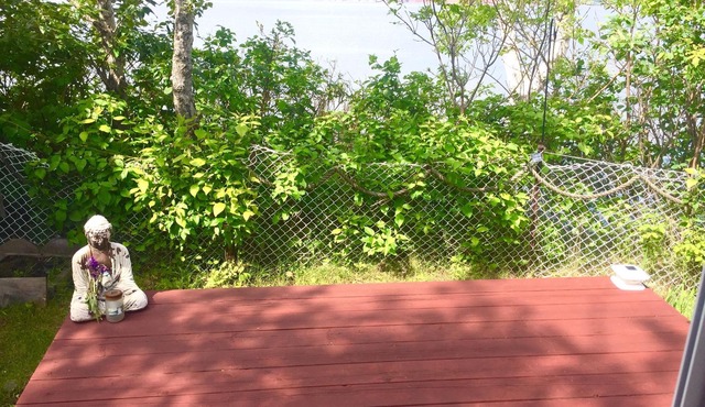 Oceanside bungalow next to a lighthouse, minutes walk to the beach!