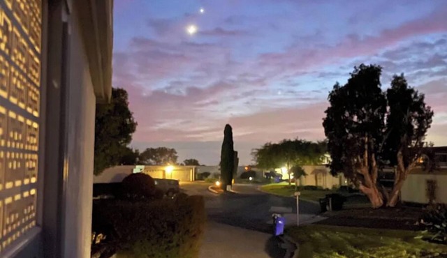 Oceanside Mid-Century Modern Oasis