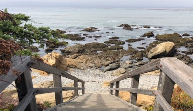 Oceanside Oasis - King Suite, Walk < 2 Short Blocks to Ocean & Tide Pools!