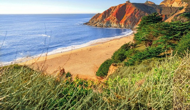 Oceanview by-the-Sea Beach Studio - walk to Beaches, Trails, Restaurants +