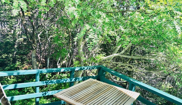 Oceanview near L'Anse aux Meadows