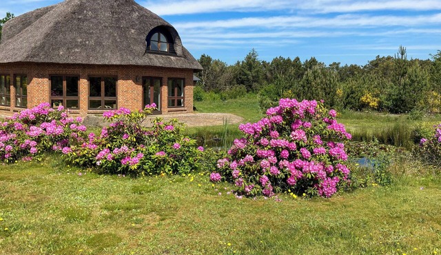 Octagonal thatched forest house near Herning