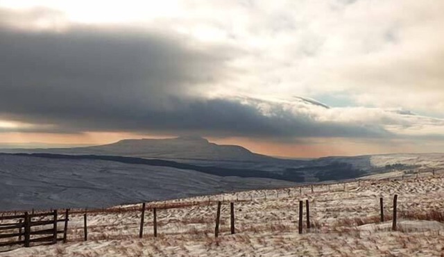 OCTOBER COTTAGE, pet friendly, with a garden in Clapham