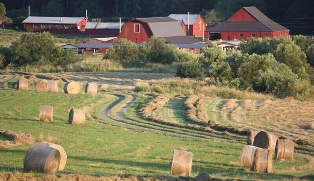 October Farm Family Farm Stay