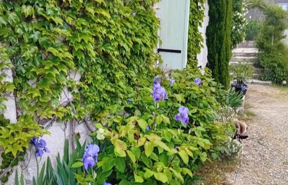 Ode au Bonheur St Georges sur Cher