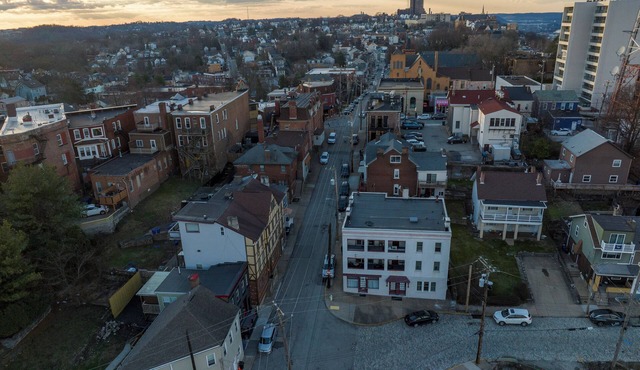 Off Granview, Mount Washington, Pittsburgh with view of Mon River and driveway.