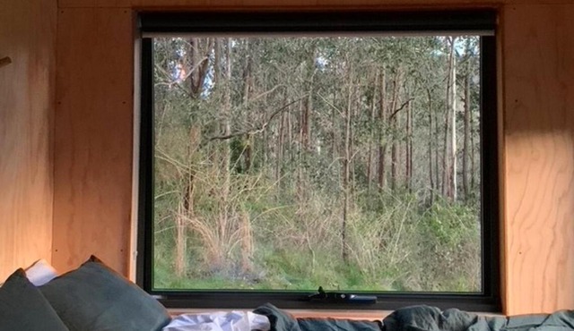 Off-Grid Cabin Deep in Nature - Pet Friendly - Barney