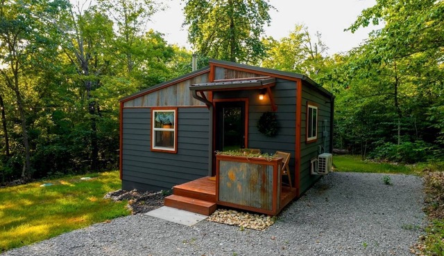 Off-Grid Cabin Surrounded by Trees in Pineville, Missouri
