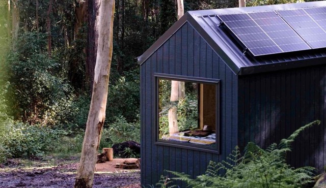 Off-Grid Cabin Tucked into Nature - Pet Friendly - Mahli
