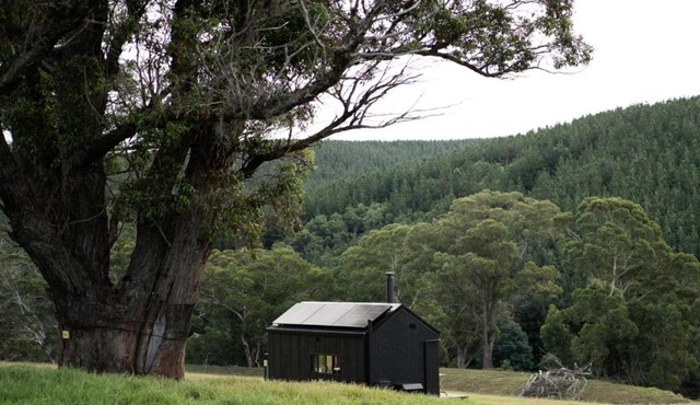 Off-Grid Cabin with Valley Views and Hot Tub - Pepe