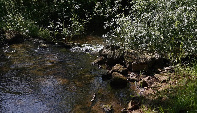 Off-grid Cork Cabin With It's Own Island