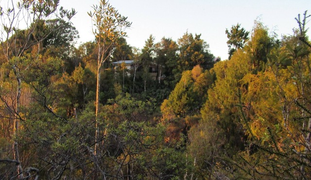 Off grid, immersed in nature