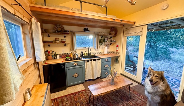 Off Grid Petfriendly sanctuary surrounded by ancient oaks with fenced yard.