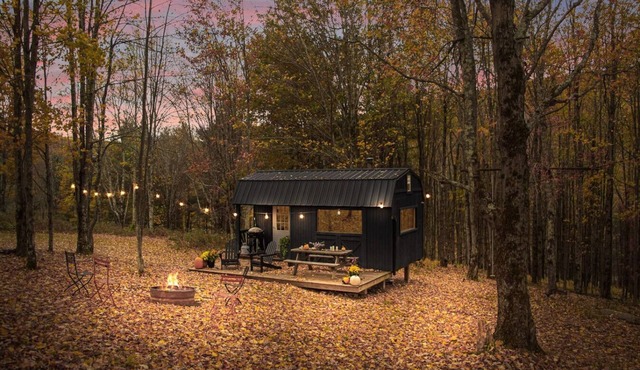 Off-Grid Tiny Cabin with Cozy Vintage Charm