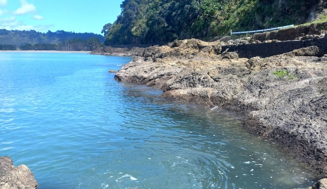 Off grid waheriri waterfall cabin