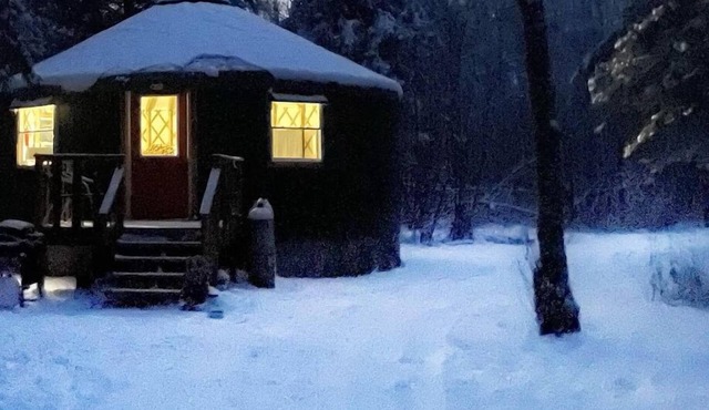 Off grid yurt in birding area, access to State Rec. trail and Whiteface river