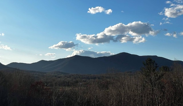 Off the beaten path in Mt Airy, NC. Mountain View’s on 14 acres. Duplex.