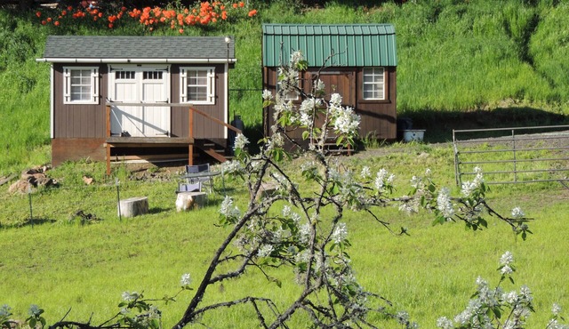 Off the Beaten Path -Tranquil 1-bedroom cabin with AC in charming Harpster