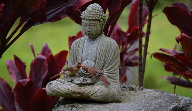 Off the Beaten Track On the Island of Hawai`i!