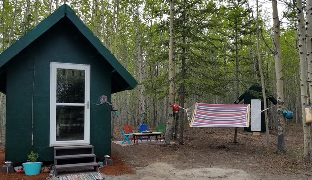 Off the grid dry cabin near Chitina