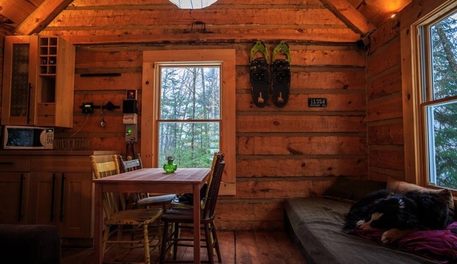Off the Grid log Cabin in 100 Acres