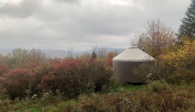 off-the-grid tiny house cabin AND yurt in Livingston Manor, NY