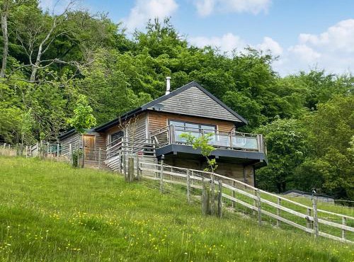 Offa's Dyke Lodge - Uk10835