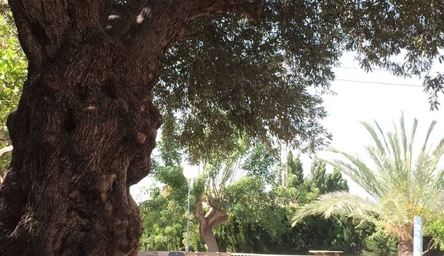 OFFER Rural house with wooded garden and private pool 12 minutes from the beach